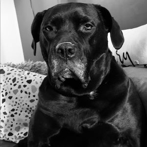 Meet your Posher, Leigha